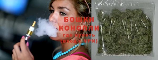 стафф Покачи