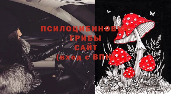 стафф Покачи