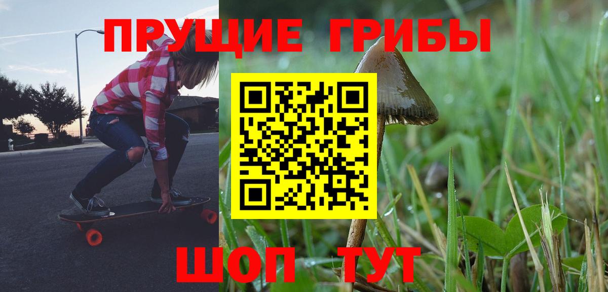 Псилоцибиновые грибы Cubensis Тара