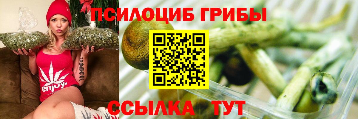 Псилоцибиновые грибы Psilocybe  Вход с VPN  Тара 